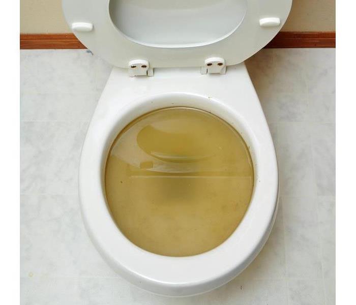 sewer back up toilet